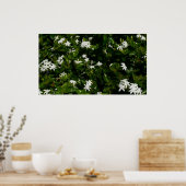 Poster Fleurs de jasmin Botanique tropicale florale (Cuisine)