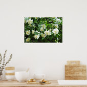 Poster Fleurs de jasmin dans le jardin (Cuisine)