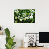Poster Fleurs de jasmin dans le jardin (Bureau à domicile)