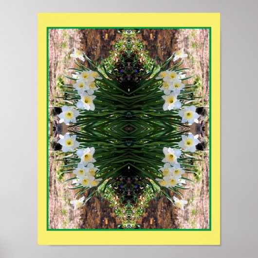 Poster Fleurs de jonquille Blanche Par Miroir Brook Abstr (Devant)