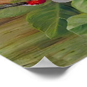 Poster Fleurs de la Californie par Marianne North (Coin)