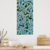 Poster Fleurs de la Reine Anne (Cuisine)