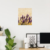 Poster Fleurs de lavande dans un champ, province de Sienn (Bureau à domicile)