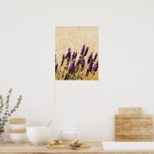 Poster Fleurs de lavande dans un champ, province de Sienn (Cuisine)