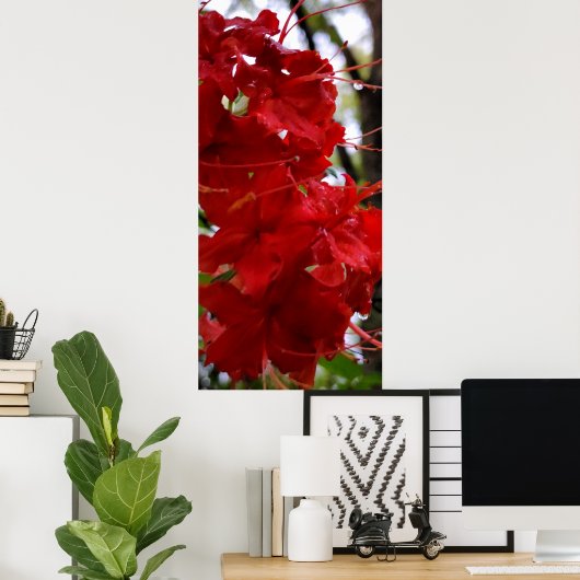 Poster Fleurs de l'Azalée Rouge (Bureau à domicile)