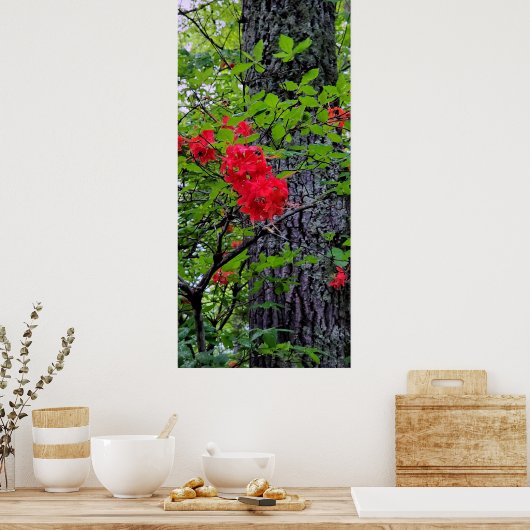 Poster Fleurs de l'Azalée Rouge (Cuisine)