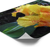 Poster Fleurs de l'île (Coin)