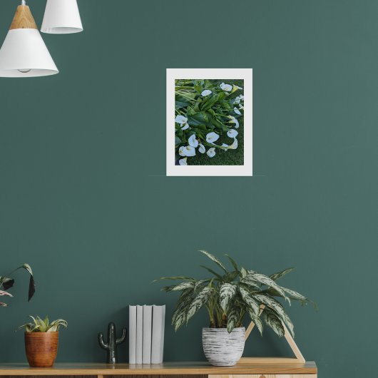 Poster Fleurs de lis calla blanc (Salon 1)
