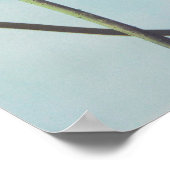 Poster fleurs de lotus (Coin)