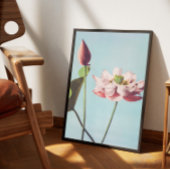 Poster fleurs de lotus