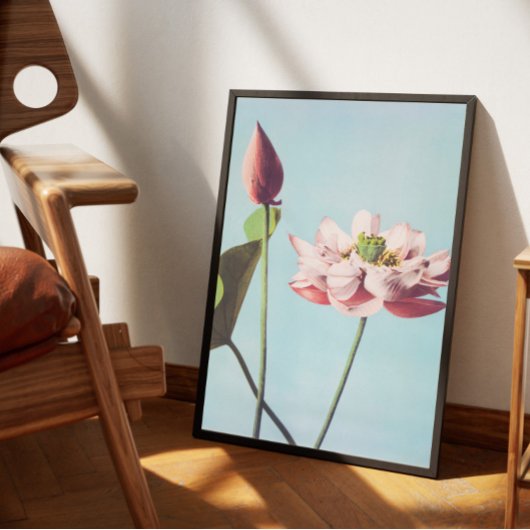 Poster fleurs de lotus