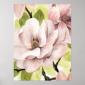 Poster Fleurs de Magnolia (Devant)