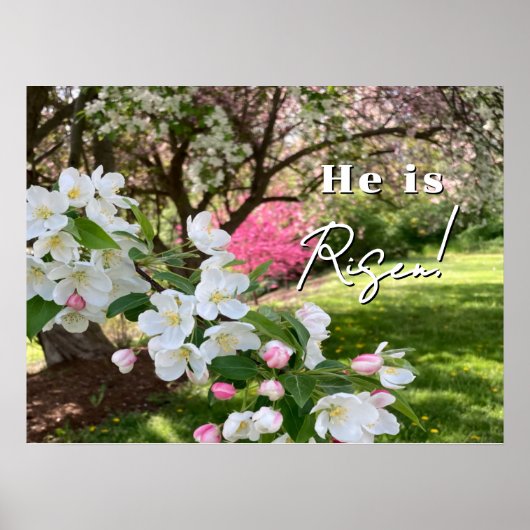 Poster Fleurs de mai roses Pâques (Devant)