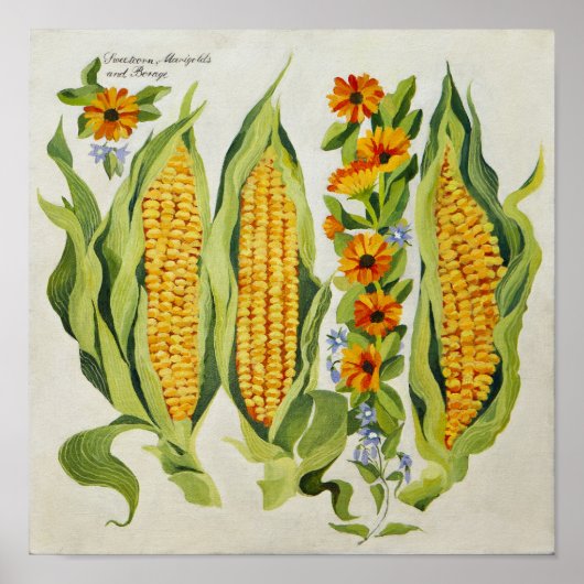 Poster Fleurs de maïs et de moelle 2014 (Devant)