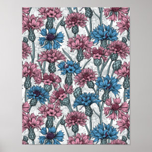 Poster Fleurs de maïs roses et bleues, fleurs sauvages su