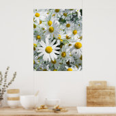 Poster fleurs de marguerite (Cuisine)