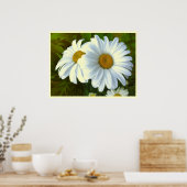 Poster Fleurs de marguerite Imprimer Classic Daisies Post (Cuisine)