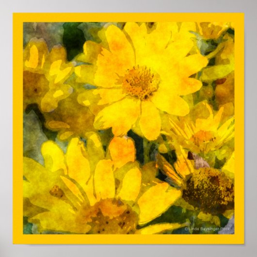 Poster Fleurs de marguerite jaune Aquarelle (Devant)