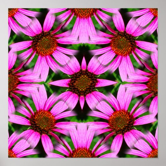 Poster Fleurs de marguerite rose miroir Abstrait (Devant)