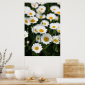 Poster Fleurs de marguerite sauvages proches (Cuisine)