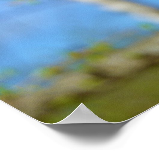 Poster Fleurs de mélèzes (Coin)