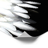 Poster Fleurs De Minuit : Fleurs De Cactus Blancs Sur Noi (Coin)