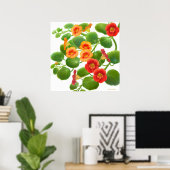 Poster Fleurs de Nasturtium du jardin Imprimer (Bureau à domicile)
