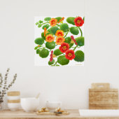 Poster Fleurs de Nasturtium du jardin Imprimer (Cuisine)