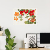 Poster Fleurs de Nasturtium rouge et orange par Tanigami  (Bureau à domicile)