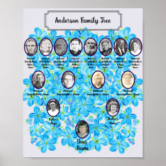 Poster Fleurs de Ne M'Oubliez Pas Bleu Floral Ovale Photo
