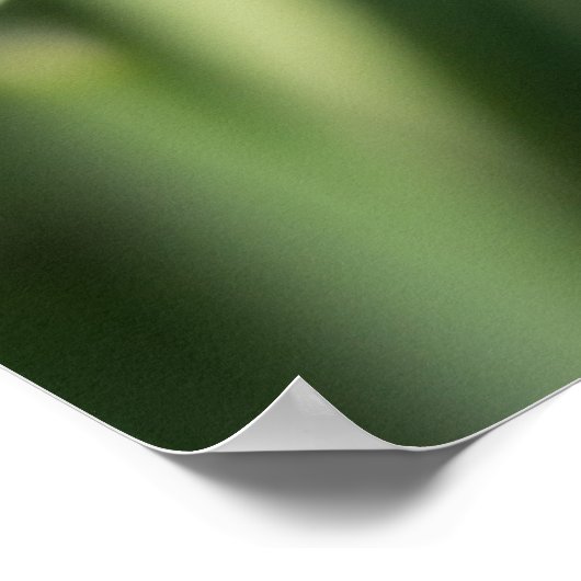 Poster Fleurs de neige (Coin)