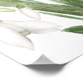 Poster fleurs de neige blanche peinture d'aquarelle botan (Coin)