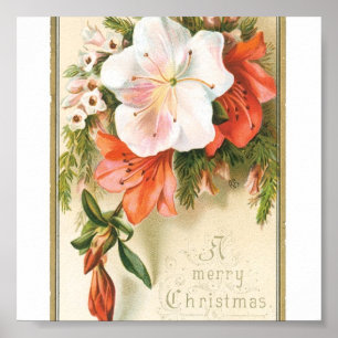 Poster Fleurs de Noël