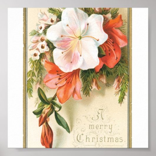 Poster Fleurs de Noël (Devant)