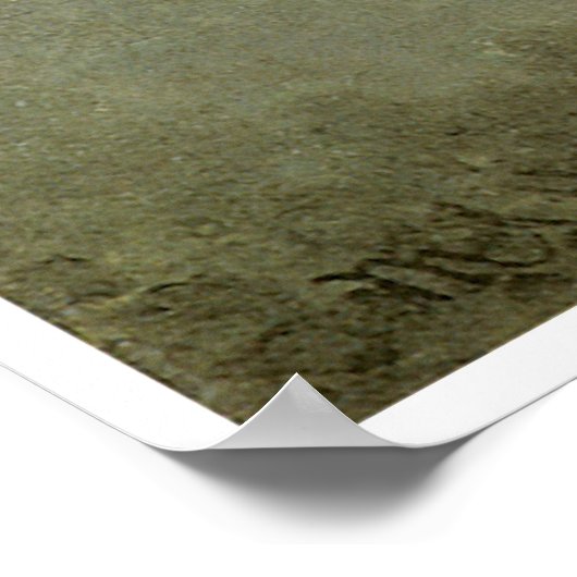 Poster Fleurs de passion et colibris (Coin)