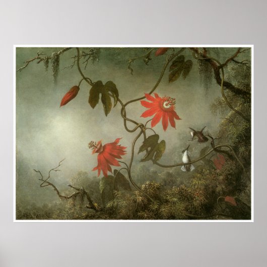 Poster Fleurs de passion et colibris (Devant)