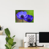Poster Fleurs de pavot bleu (Bureau à domicile)