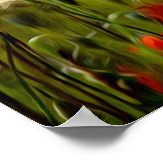 Poster Fleurs de pavot rouge (Coin)