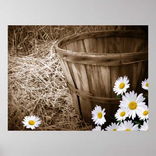 Poster Fleurs de pays (Devant)