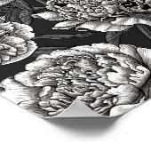 Poster Fleurs de pivoines blanches sur gris foncé (Coin)