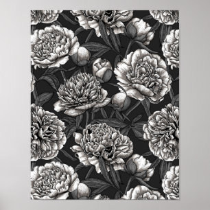 Poster Fleurs de pivoines blanches sur gris foncé