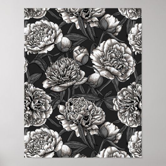 Poster Fleurs de pivoines blanches sur gris foncé (Devant)