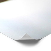 Poster Fleurs de Plumeria rouge et jaune 2 (Coin)