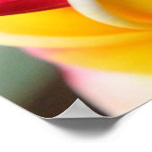 Poster Fleurs de Plumeria rouge et jaune 3 (Coin)