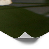 Poster Fleurs de poires (Coin)