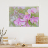 Poster Fleurs de pois de senteur | Seabeck, WA (Cuisine)