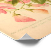 Poster Fleurs de pois doux (Coin)