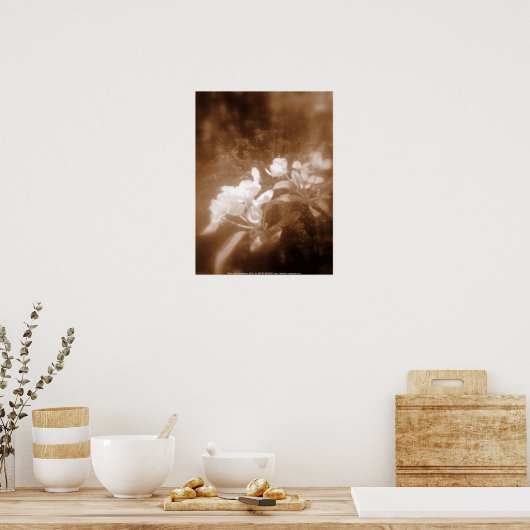 Poster fleurs de pomme #2, sépia (Cuisine)