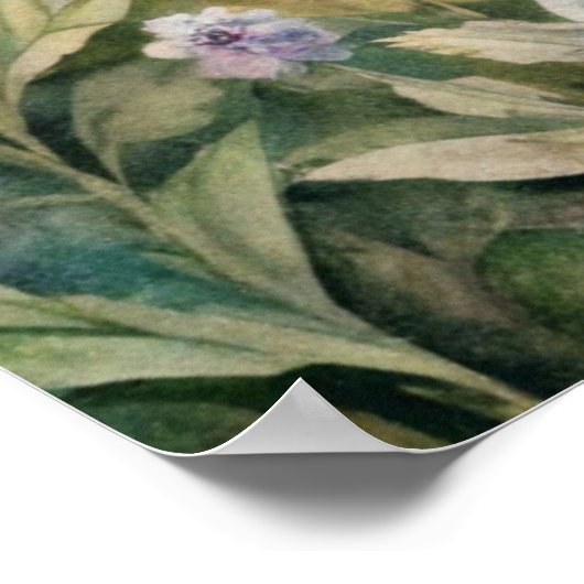 Poster Fleurs de prairie et papillons (Coin)