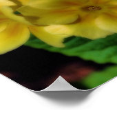 Poster Fleurs de Primrose jaune Orton Art (Coin)